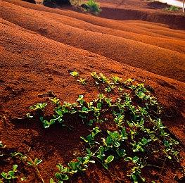 奇葩游戏人创业：会计转做网吧大神，用神器日入过万？_Y3编辑器